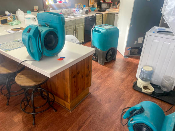 Best Water damage cleanup near me  in Duvall, WA