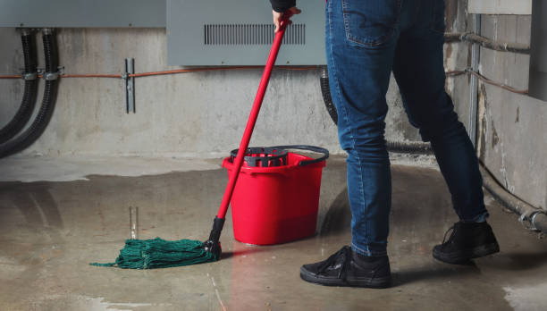 Best Water damage restoration near me  in Duvall, WA