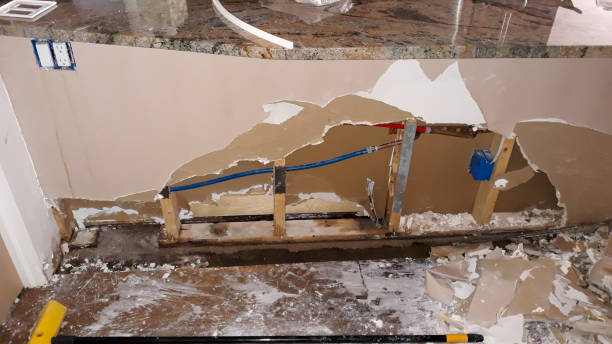 Best Flood restoration services  in Duvall, WA