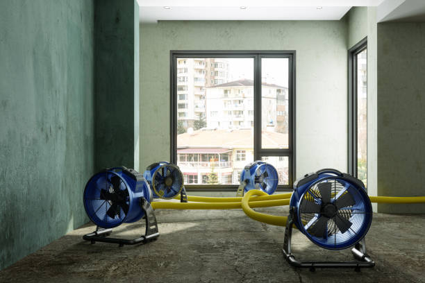 Best Basement water damage restoration  in Duvall, WA