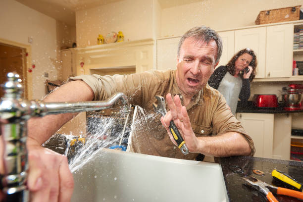 Best Sewage cleanup and water damage restoration  in Duvall, WA